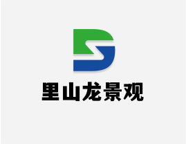 衡阳胶粘石