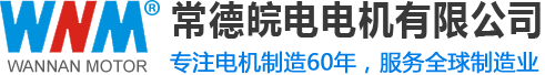 常德皖南电机