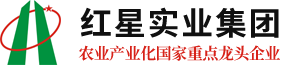 首页