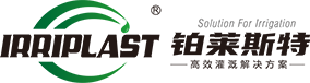 铂莱斯特