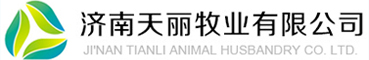 网站首页