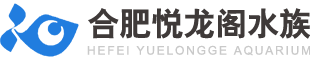 合肥定做鱼缸厂家