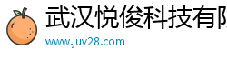 武汉悦俊科技有限公司