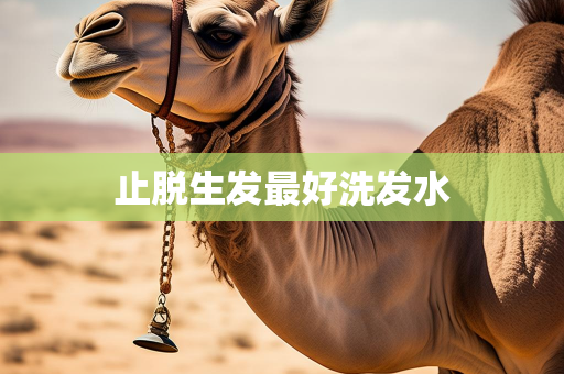 玲亭网
