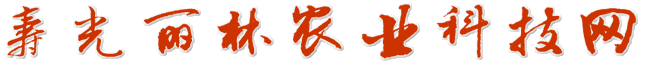 专业卖蔬菜种子的网站