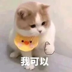断钩鱼