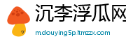 沉李浮瓜网