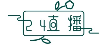 足球直播