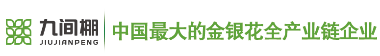 金银花苗木