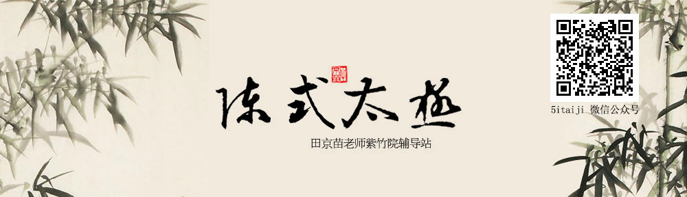 陈式太极拳网
