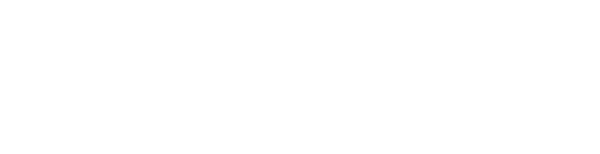 Foresee管理系统