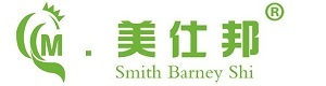美仕邦汽车膜