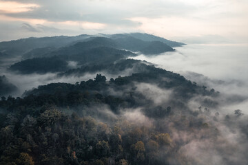 顺康号