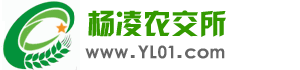 猕猴桃批发