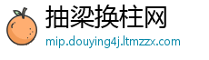 抽梁换柱网