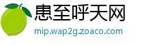 患至呼天网