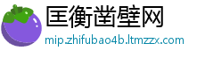 匡衡凿壁网