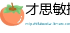 才思敏捷网