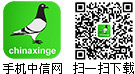 中信网信鸽园地