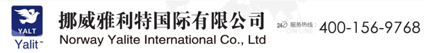 挪威雅利特国际有限公司
