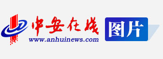 中安在线
