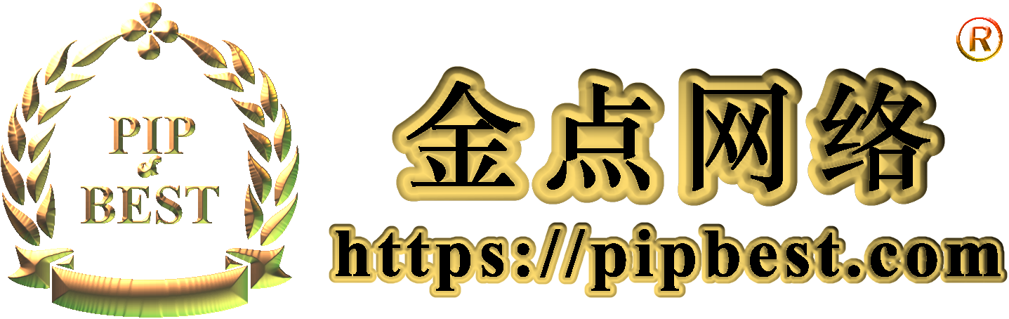 金点网络