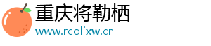 重庆将勒栖贸易有限公司