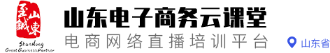 山东省电商人才网络直播培训平台