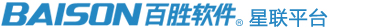百胜软件