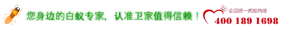 韶关白蚁防治所服务公司电话您身边的白蚁专家权威指定上门灭治白蚁除杀白蚁中心
