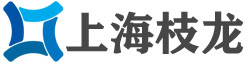 抽油泵,电动抽油泵,防爆抽油桶泵,上海抽油泵