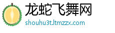 龙蛇飞舞网