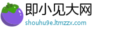 即小见大网