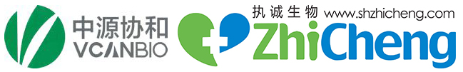 首页