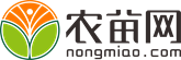 四季海棠价格