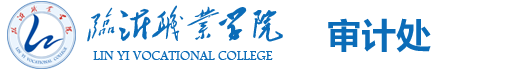 临沂职业学院审计处