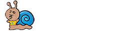 软件开发