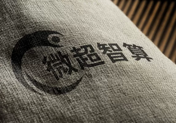 高端商业画册设计印刷平面广告公司