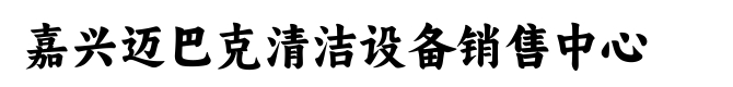太仓五芳斋粽子