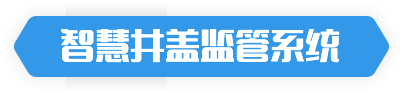 智慧井盖监管系统