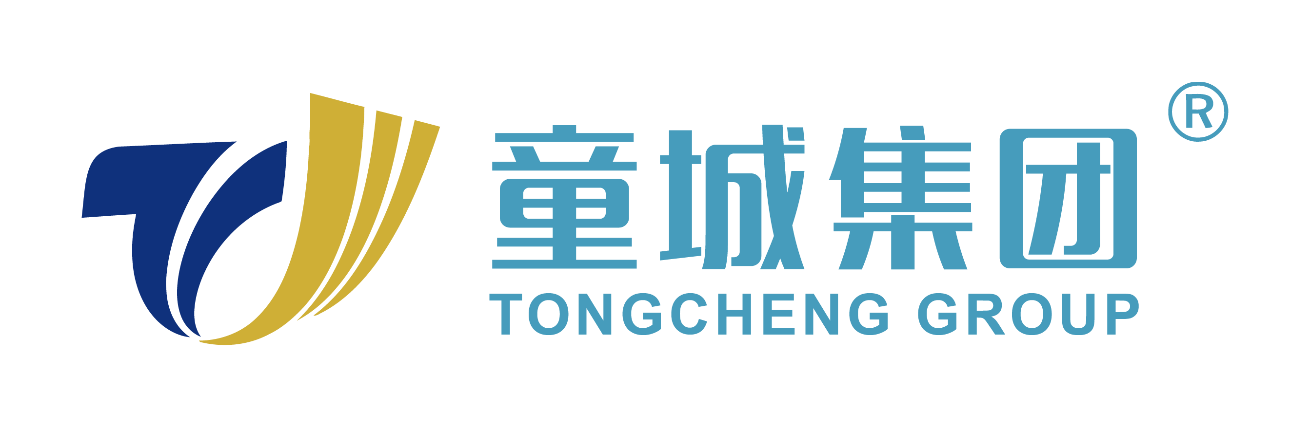 福建童城食品集团有限公司