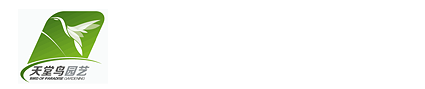 河南天堂鸟园艺有限公司