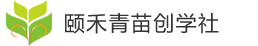 青苗创学