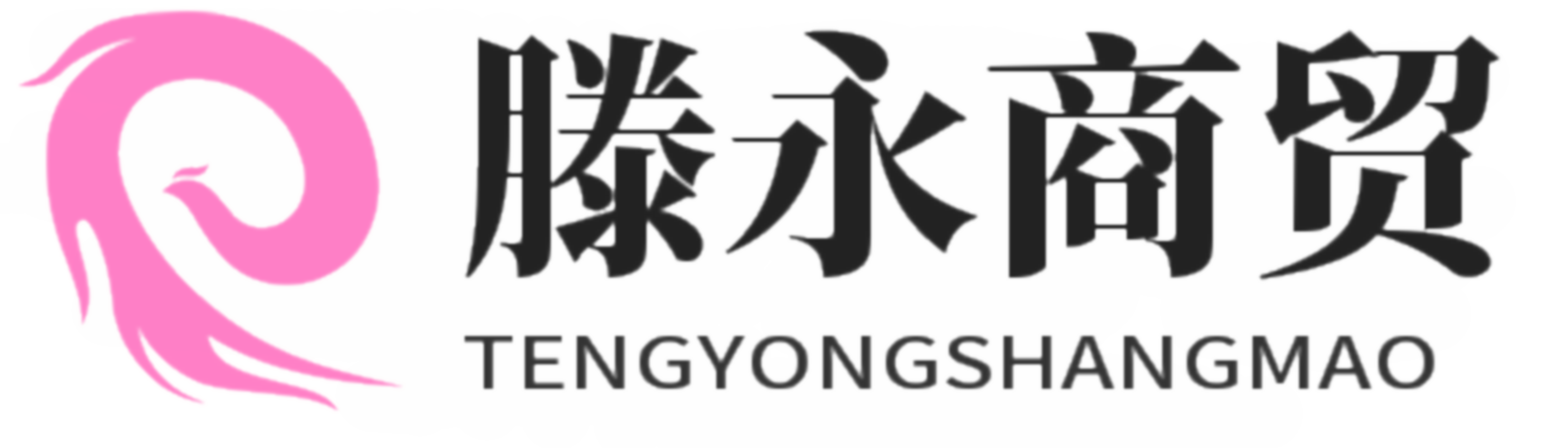 北京藤永商贸有限公司
