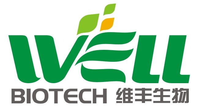 首页