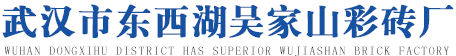 武汉彩砖厂