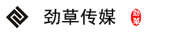 道县网络公司
