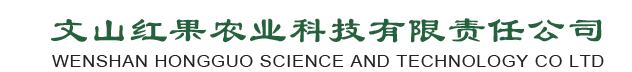 文山红果农业科技有限责任公司｜红果农业｜红果葡萄｜葡萄销售｜紫葡萄
