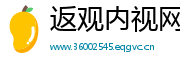 返观内视网