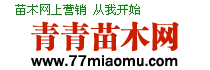 青青苗木网